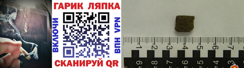 Купить закладки  Дальнегорск  ГАШ гарик 