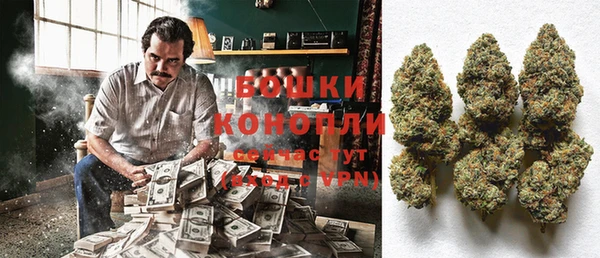 ПСИЛОЦИБИНОВЫЕ ГРИБЫ Армянск
