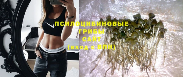 ПСИЛОЦИБИНОВЫЕ ГРИБЫ Армянск